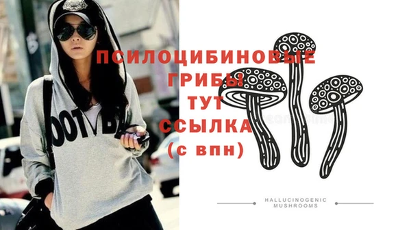 mdpv Абаза